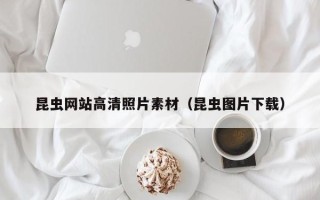 铜仁昆虫网站高清照片素材(昆虫图片下载) 铜仁昆虫网站高清照片素材(昆虫图片下载)